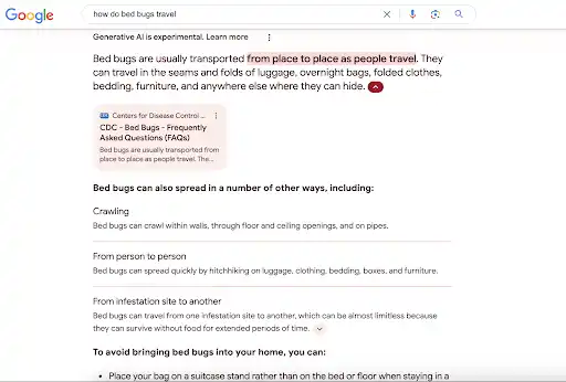 how do bed bugs travel google search