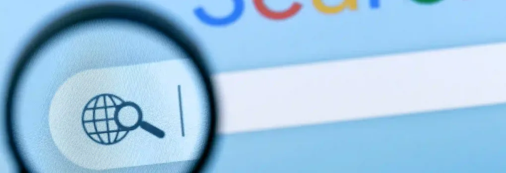 lawn care seo google search