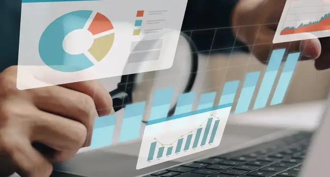 pie charts and bar graphs