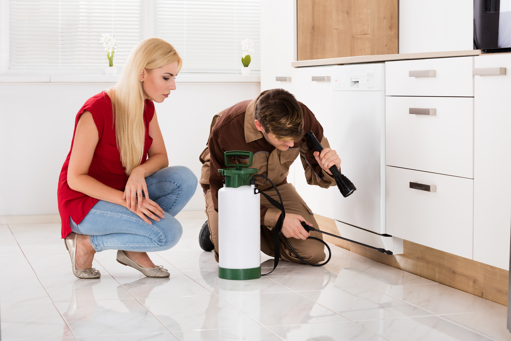 pest control specialist searching for roaches under kitchen table