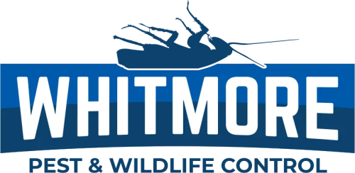 Whitmore Pest and Wildlife Control