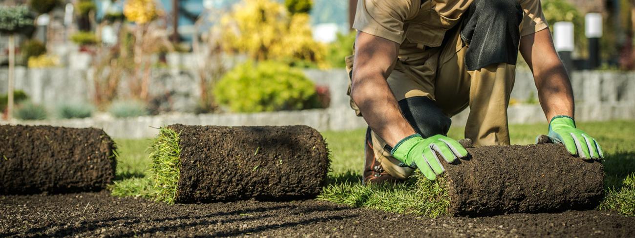 how-to-start-a-lawn-care-business-a-step-by-step-guide